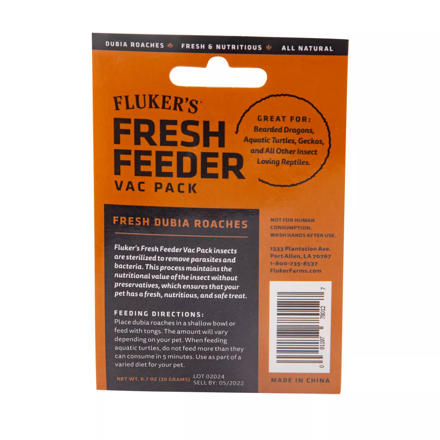 Flukers Dubia roaches