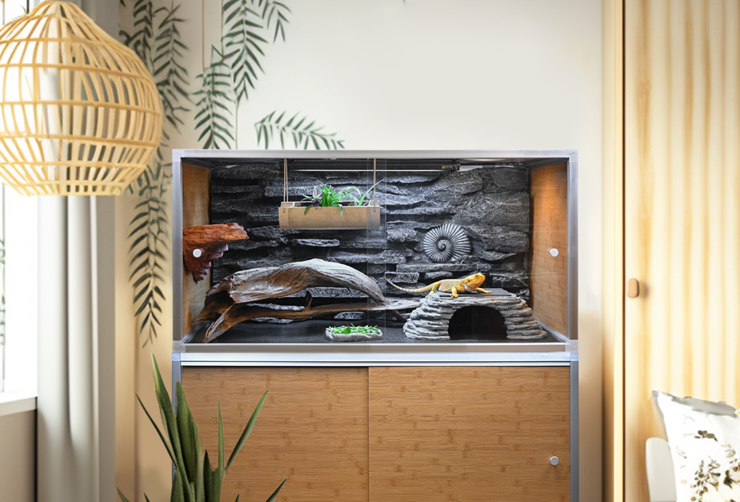 Reptile enclosures top near me