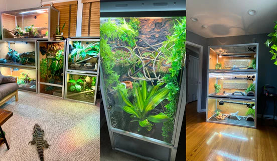 Snake enclosures deals