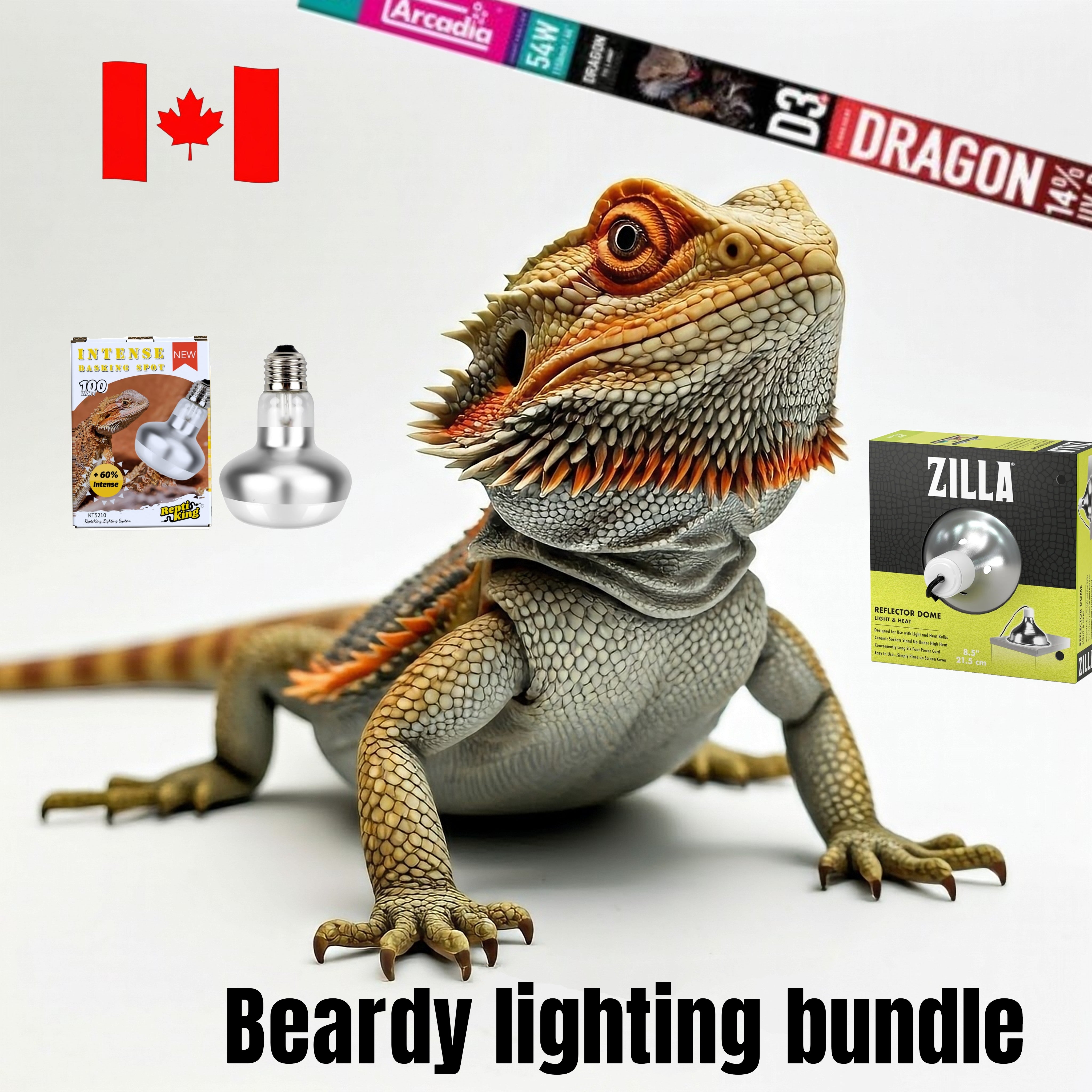 Bearded Dragon UVB and heat bundle