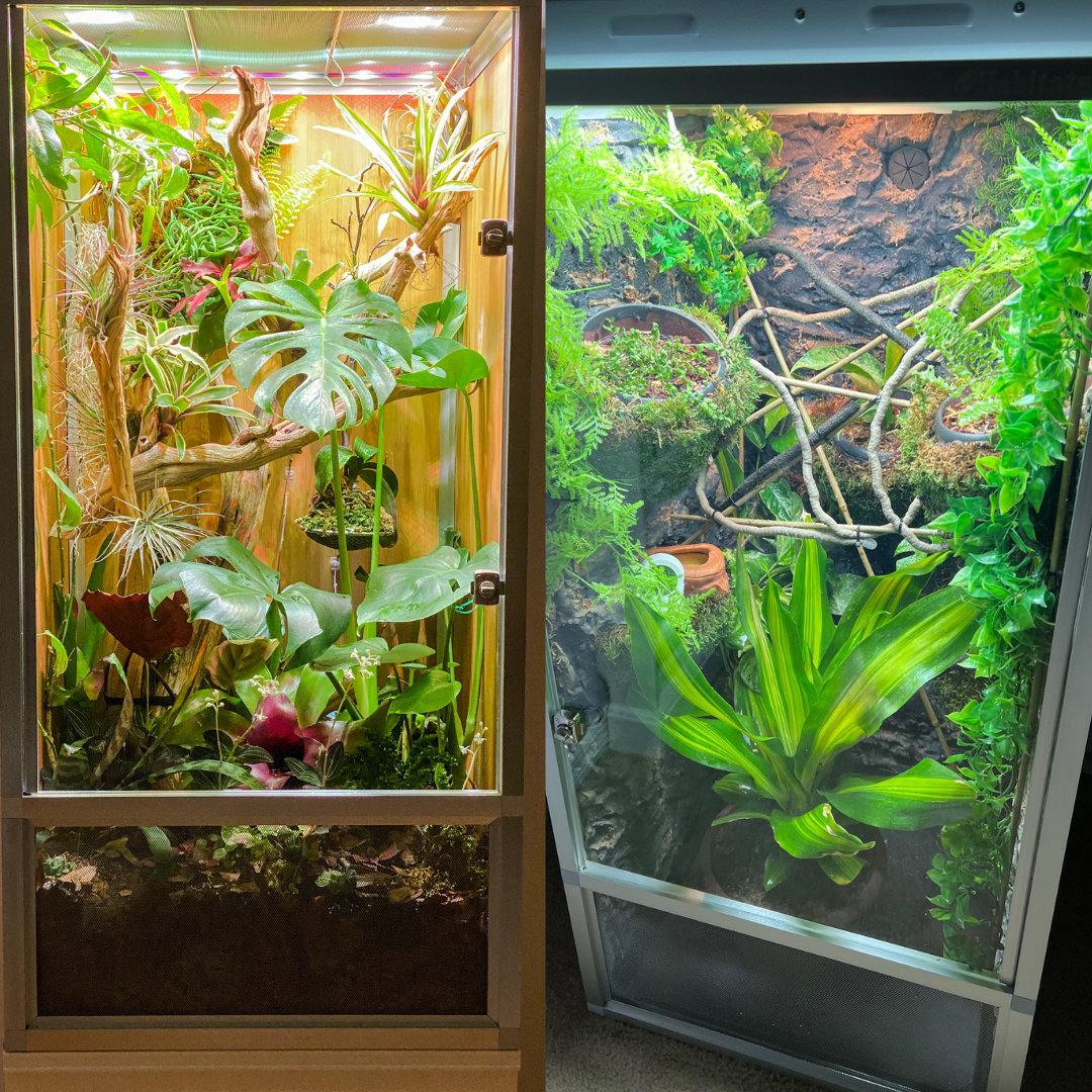 Vivarium enclosure deals